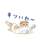 関西弁で伝える猫たちのスタンプ2（個別スタンプ：27）