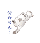 関西弁で伝える猫たちのスタンプ2（個別スタンプ：29）
