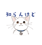 関西弁で伝える猫たちのスタンプ2（個別スタンプ：31）