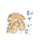 関西弁で伝える猫たちのスタンプ2（個別スタンプ：33）