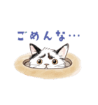 関西弁で伝える猫たちのスタンプ2（個別スタンプ：35）