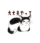 関西弁で伝える猫たちのスタンプ2（個別スタンプ：36）