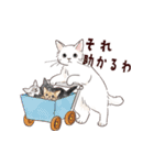 関西弁で伝える猫たちのスタンプ2（個別スタンプ：37）