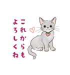 関西弁で伝える猫たちのスタンプ2（個別スタンプ：39）