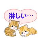 気持ち伝えるころころトラ猫（個別スタンプ：11）