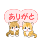 気持ち伝えるころころトラ猫（個別スタンプ：13）