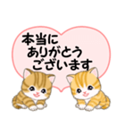 気持ち伝えるころころトラ猫（個別スタンプ：15）