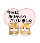 気持ち伝えるころころトラ猫（個別スタンプ：16）
