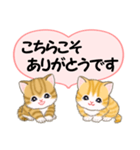 気持ち伝えるころころトラ猫（個別スタンプ：19）