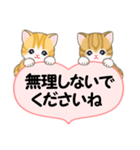 気持ち伝えるころころトラ猫（個別スタンプ：24）