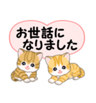 気持ち伝えるころころトラ猫（個別スタンプ：28）