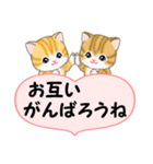 気持ち伝えるころころトラ猫（個別スタンプ：30）