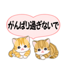 気持ち伝えるころころトラ猫（個別スタンプ：32）