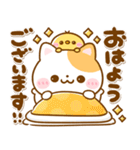 大人の気遣い♡ねこねこにゃんこ（個別スタンプ：1）
