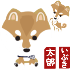 [LINEスタンプ] 柴犬 太郎といぶき