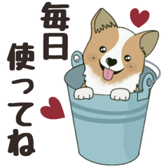 [LINEスタンプ] 日常編☆コーギーのコタくん