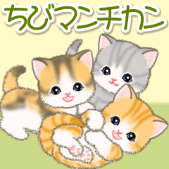 [LINEスタンプ] ちびマンチカンの毎日
