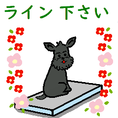 [LINEスタンプ] ●動く●ミニチュアシュナウザーのスタンプ