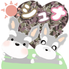 [LINEスタンプ] ふんわり 癒され シュナウザー12