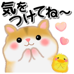 [LINEスタンプ] 家族の連絡・ハムスター「ハムたん」
