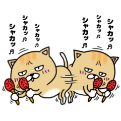 [LINEスタンプ] 猫のぶちゃまる☆その3