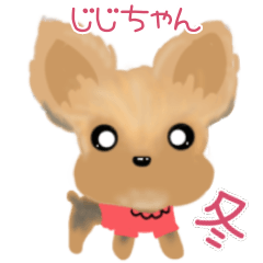 [LINEスタンプ] ヨーキーじじちゃん(冬)