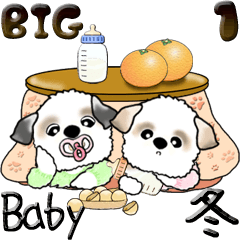 [LINEスタンプ] 【Big】Babyシーズー犬 1『冬』の画像（メイン）