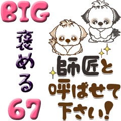 [LINEスタンプ] 【Big】シーズー犬 67『褒める』