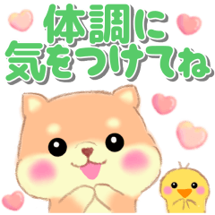 [LINEスタンプ] ベイビーしばぽよ