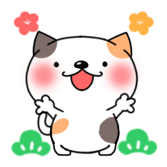 [LINEスタンプ] 毎年使えるほっこり猫の年末年始