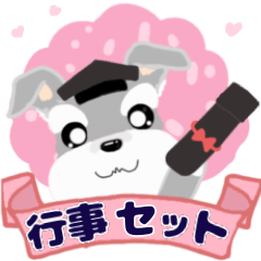 [LINEスタンプ] (年間行事)ふんわり癒されシュナウザー