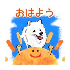 [LINEスタンプ] タムくんのほんわかにがおえスタンプ