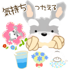 [LINEスタンプ] ふんわり癒されシュナウザーすたんぷ