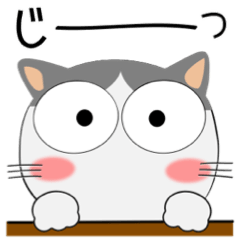 [LINEスタンプ] ハチワレ猫★気持ちを伝えるスタンプ