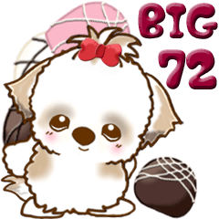 [LINEスタンプ] 【Big】シーズー犬 72『バレンタイン＆♥』