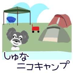 [LINEスタンプ] シュナニコ キャンプ