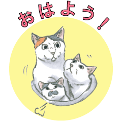 [LINEスタンプ] 『拾い猫のモチャ』スタンプ