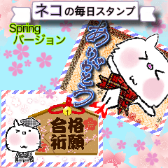 [LINEスタンプ] 【日常】猫Style♪春バージョンの画像（メイン）