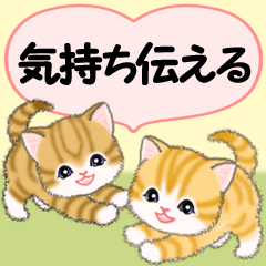 [LINEスタンプ] 気持ち伝えるころころトラ猫