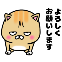 [LINEスタンプ] 猫のぶちゃまる☆その6 敬語